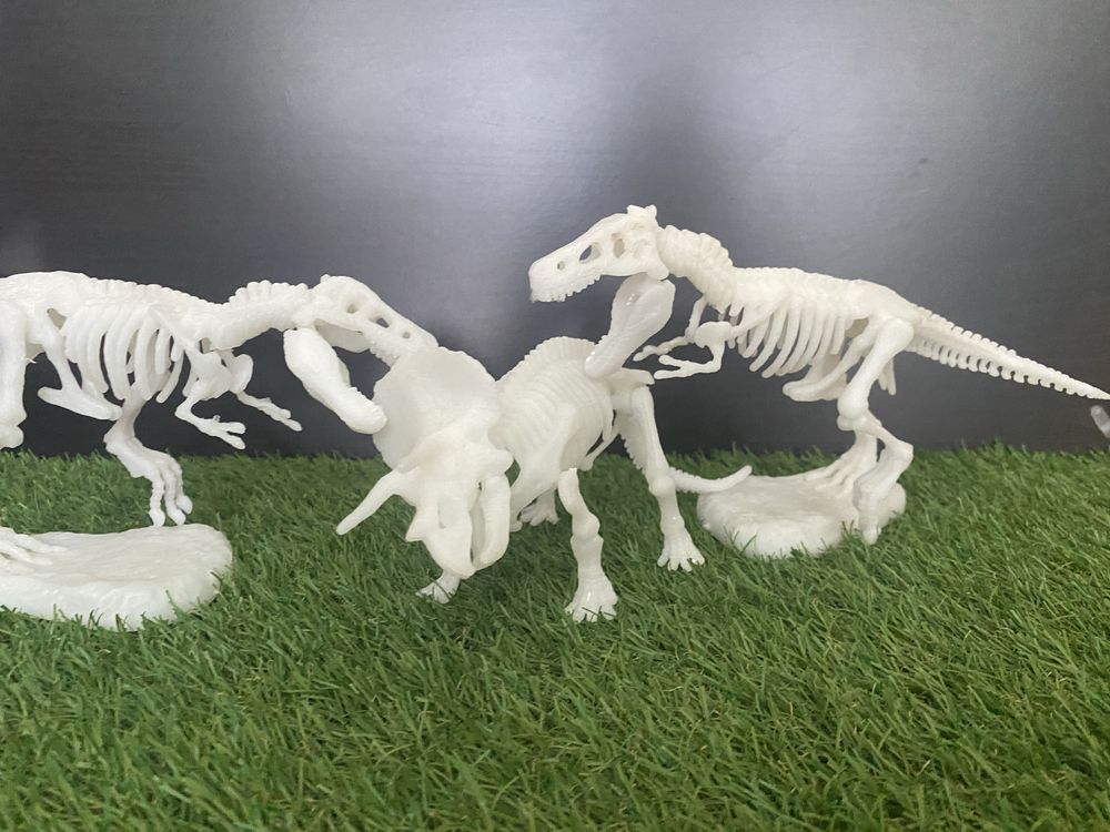 Dinossauros Esqueletos