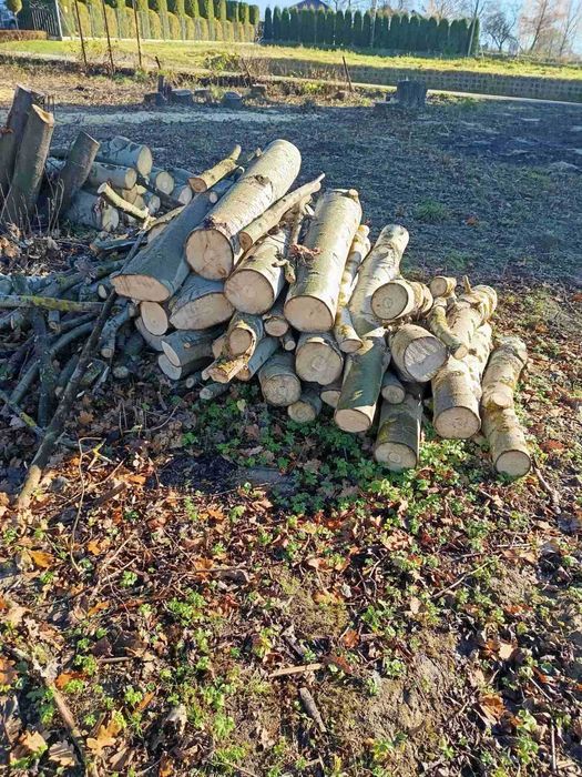 Sprzedam drewno mieszane - METRY