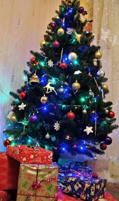 Продам литу ялинку