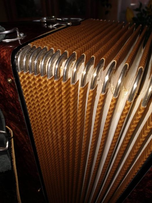 Akordeon S. Soprani 120