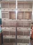 Venda de casulos para pombos