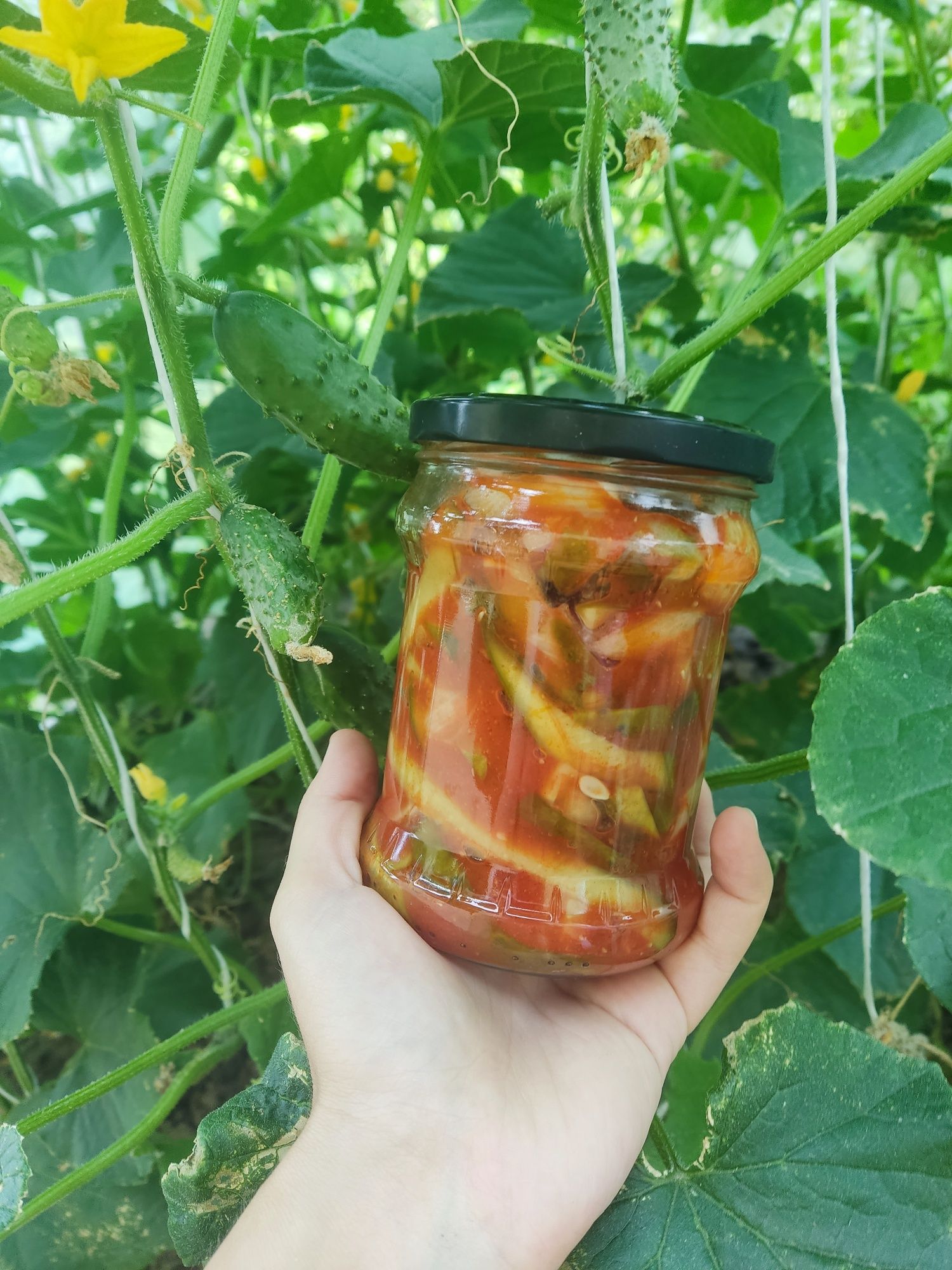 Sałatka w słoiku na zimę -  ogórki w pomidorach