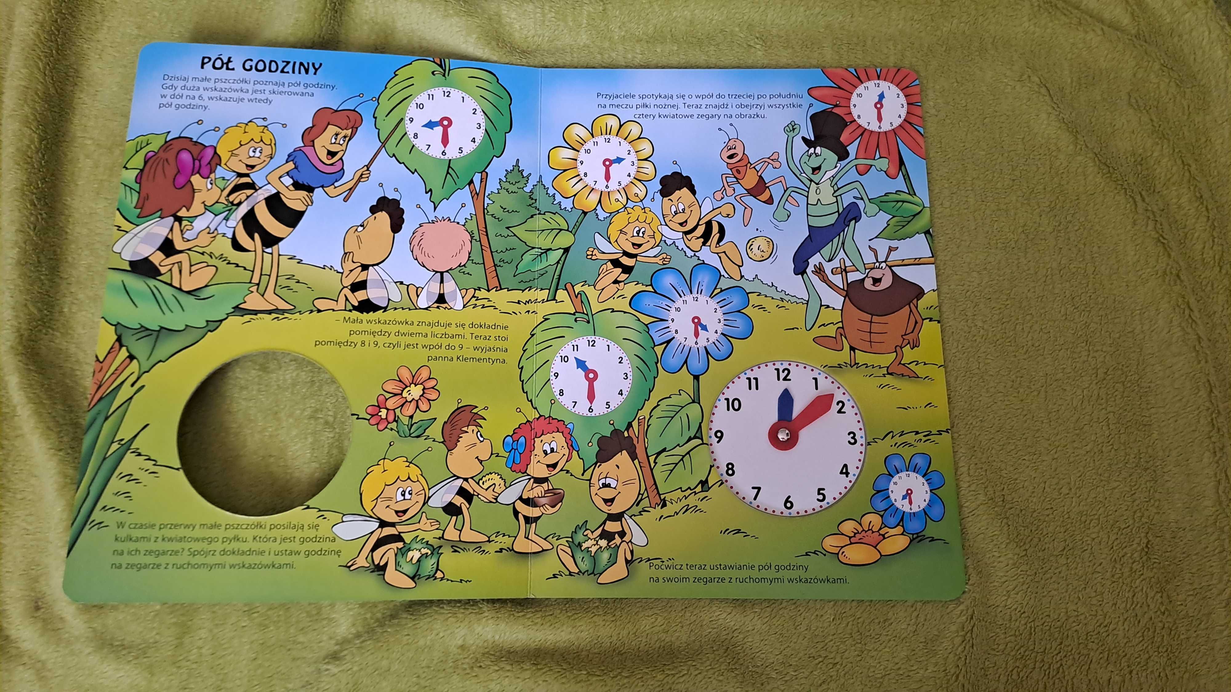 książka dla dzieci, pszółka Maja poznaje zegar