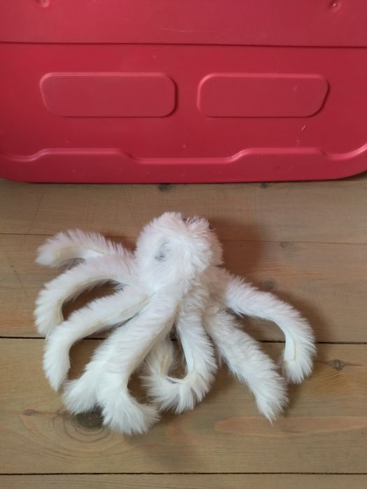 ośmiornica pluszak maskotka ty boos beanie z dużymi oczami