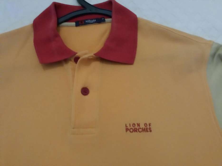 Polo lion of porches