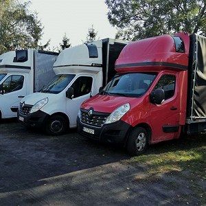 Przeprowadzki, transport Czarnków, Trzcianka Polska, Niemcy