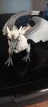 SCHLEICH 70143 Lodowy gryfin Eldrador