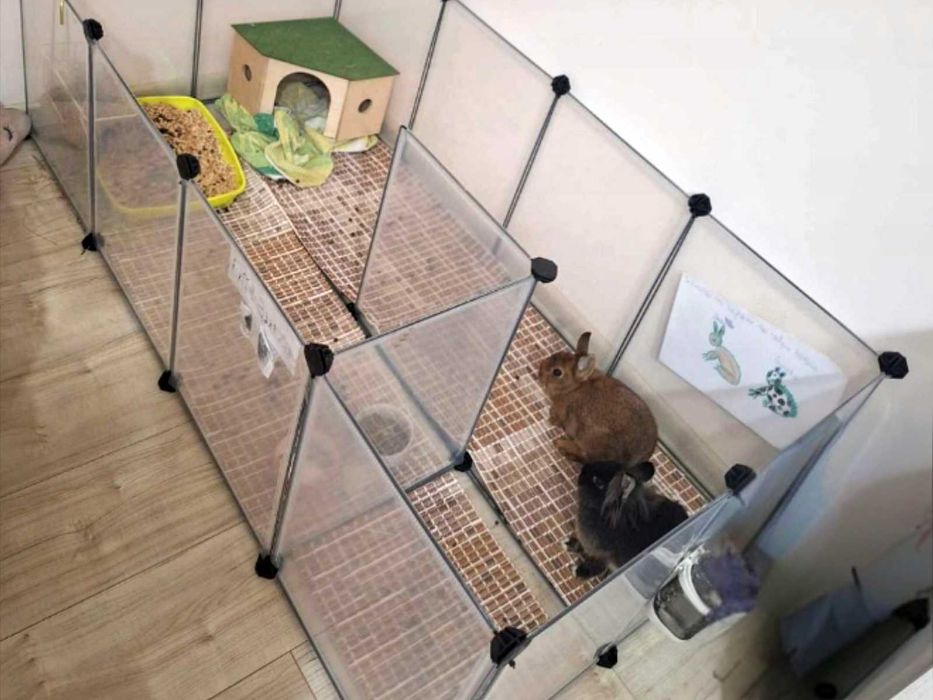 Wybieg NOWA Klatka Kojec dla KRÓLIKA Świnki Chomika Modułowa z Podłogą