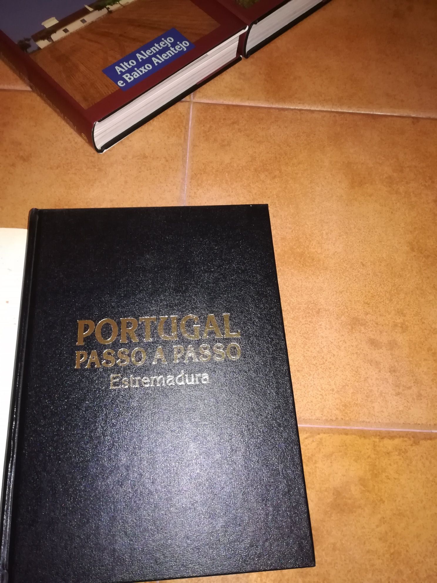 Coleção Portugal - Passo a Passo - 10 VOLUMES
