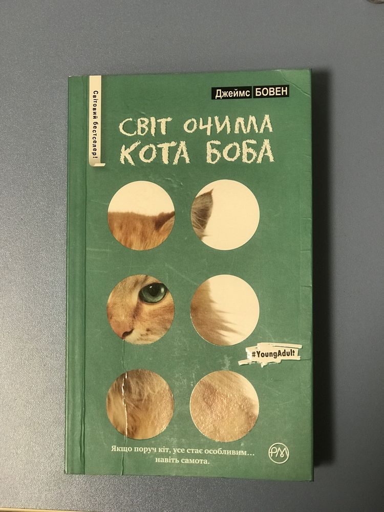 Світ очима котата Боба