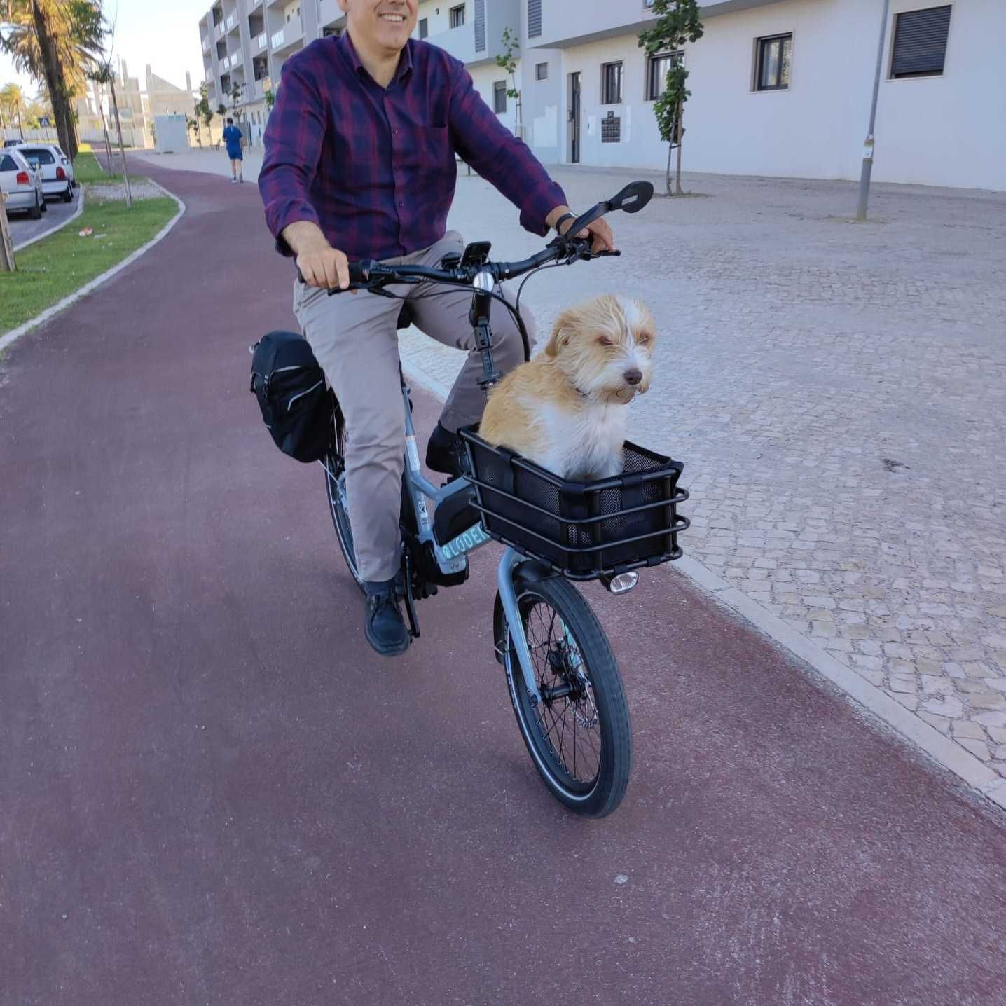 Cargo Bike Bicicleta de carga elétrica compacta LODEN