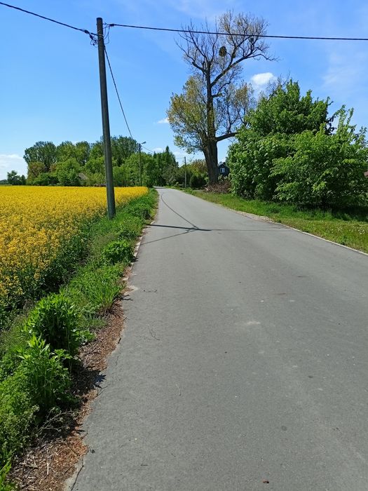 Działka budowlana w Wohyniu