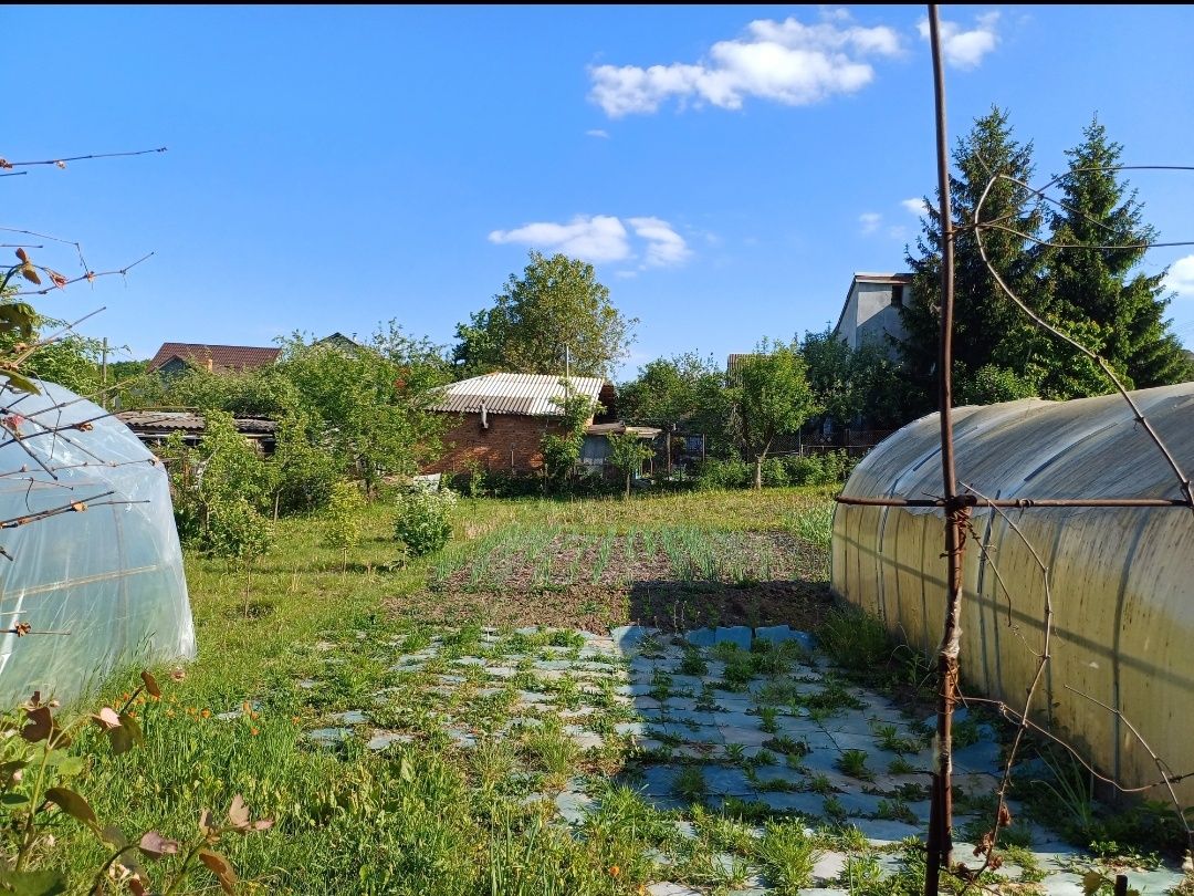 Продаж земельної ділянки з будиночком в Дубово.