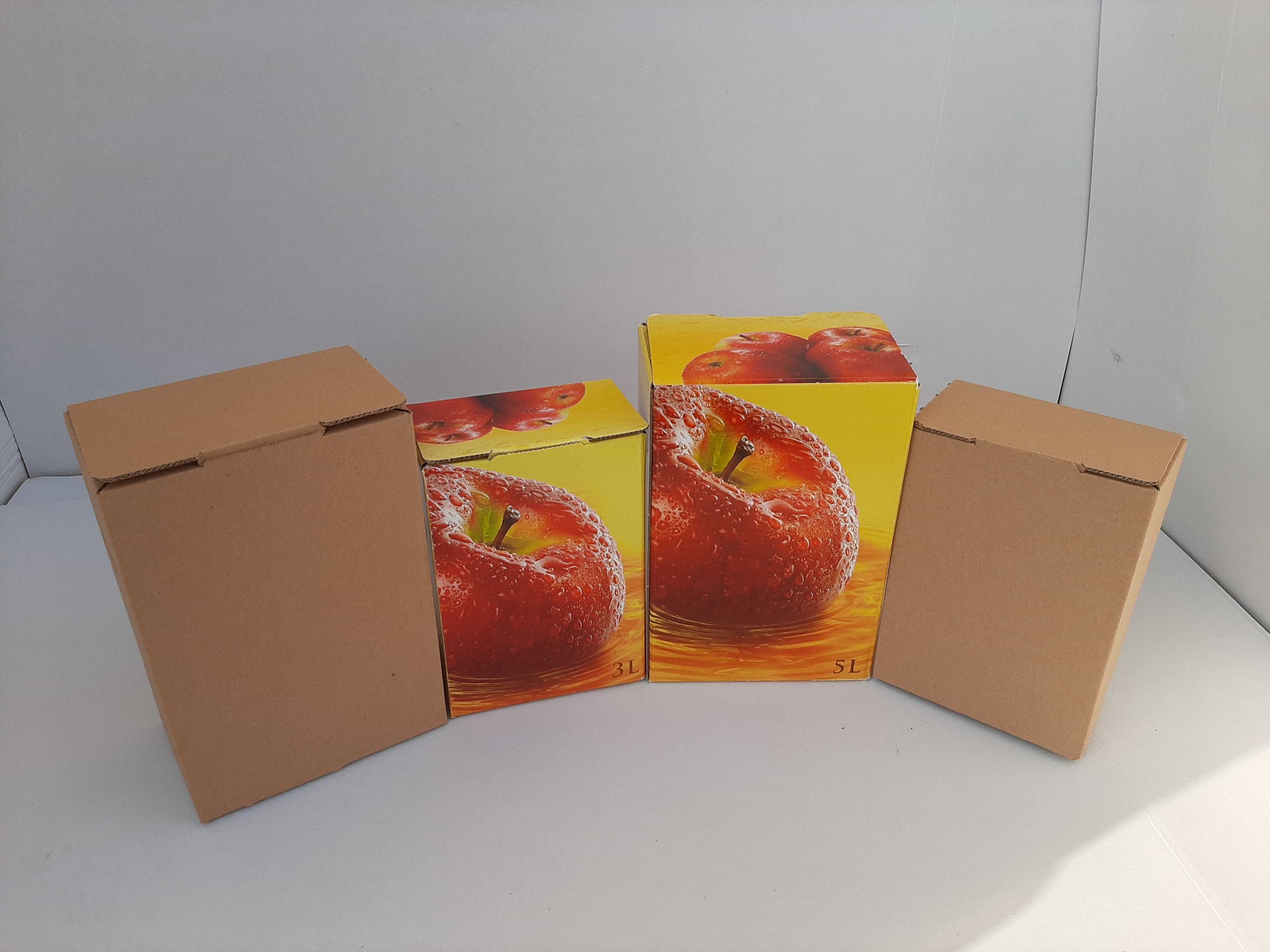 Kartony na soki Bag In Box 3 i 5L