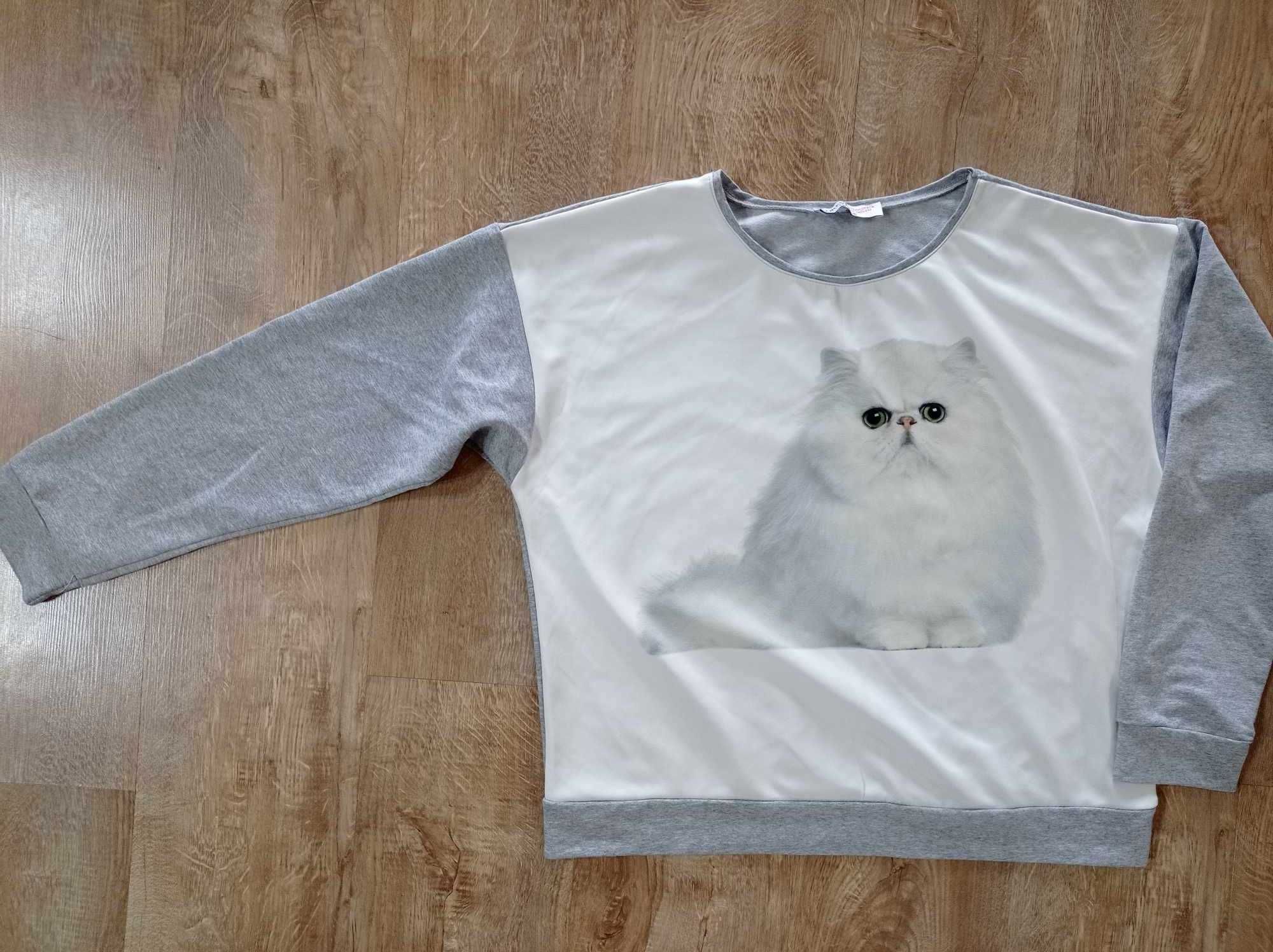 Szara bluza z kotkiem
