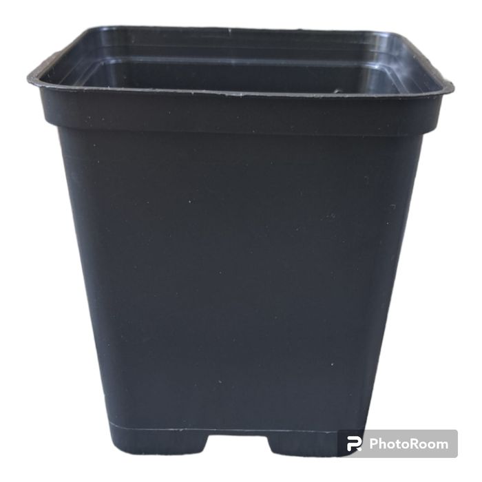 Doniczki produkcyjne P9 0,6L