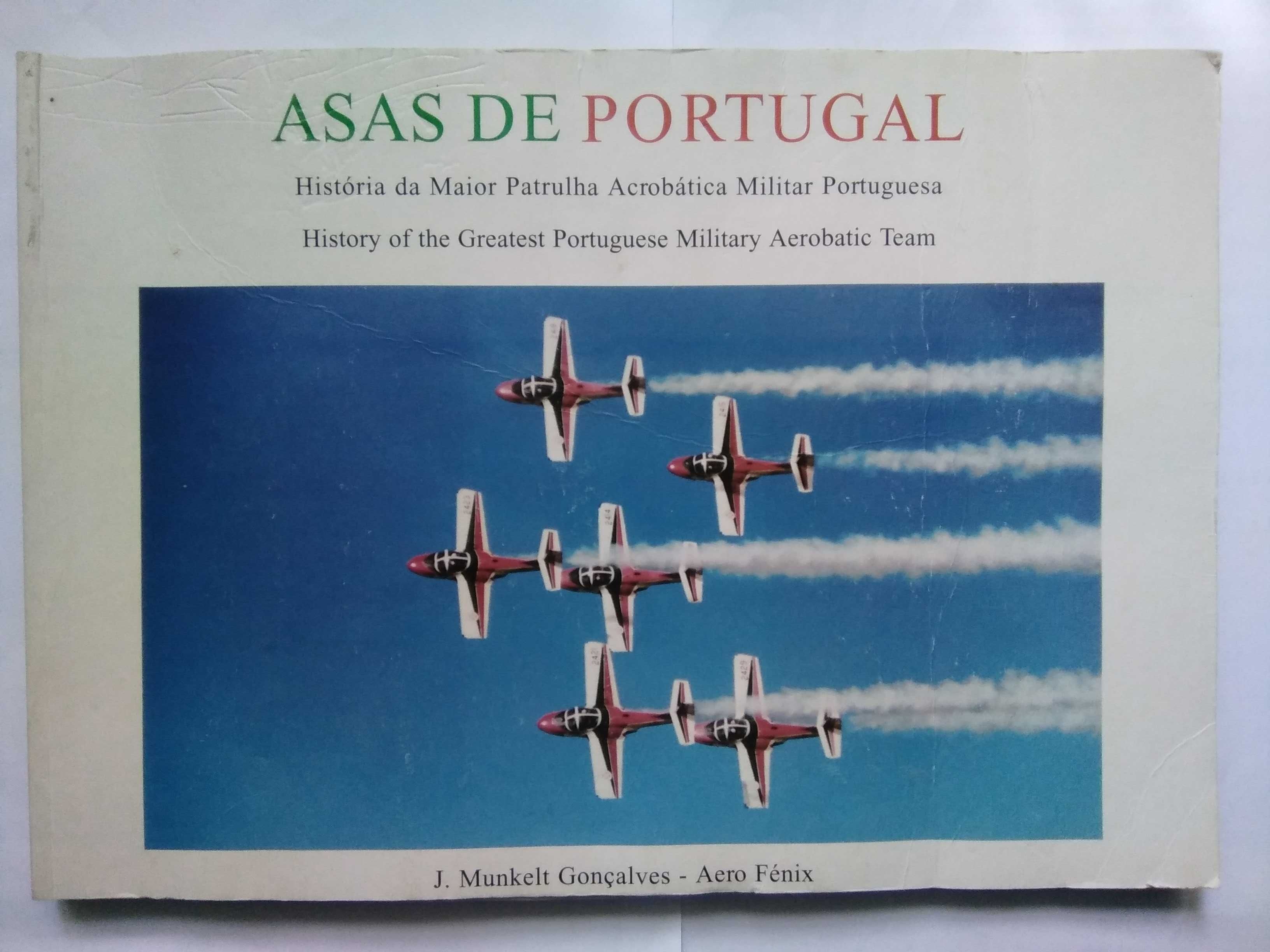 Asas de Portugal - História da Patrulha Acrobática