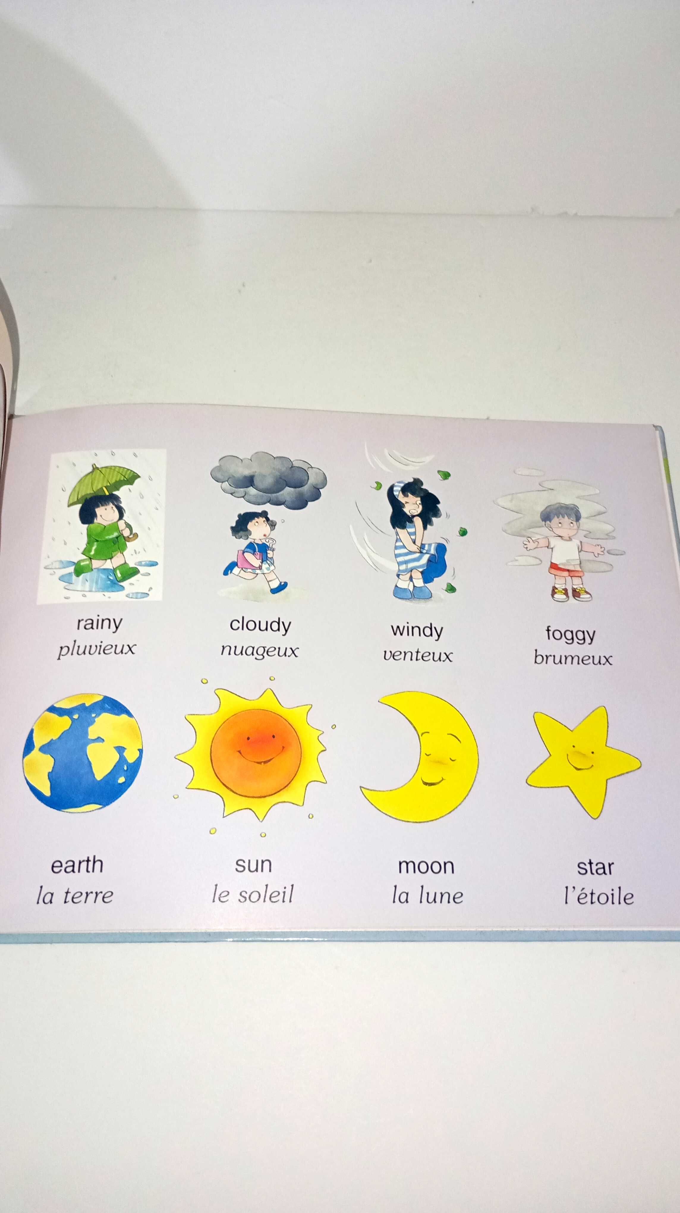 Mais Palavras engraçadas -Dicionário trilingue