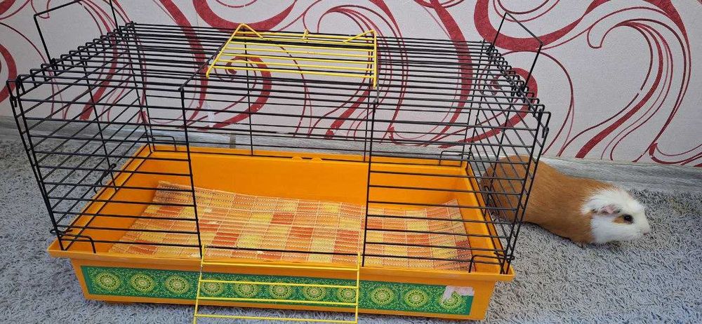 Клітка для гризунів.