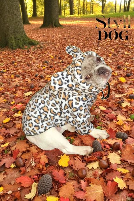 Одежда для собак