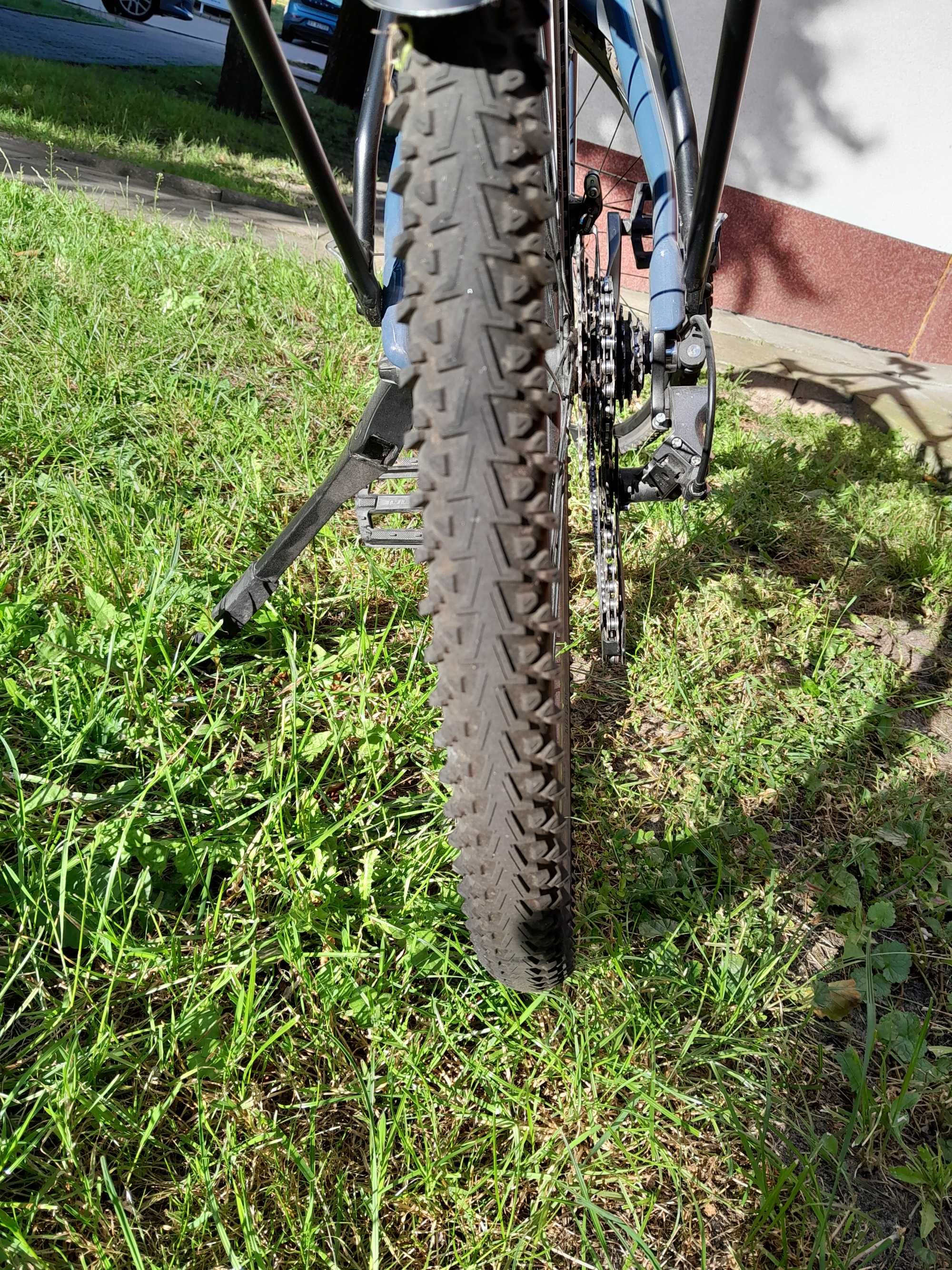 Rower gravel bulls daily grinder 1
