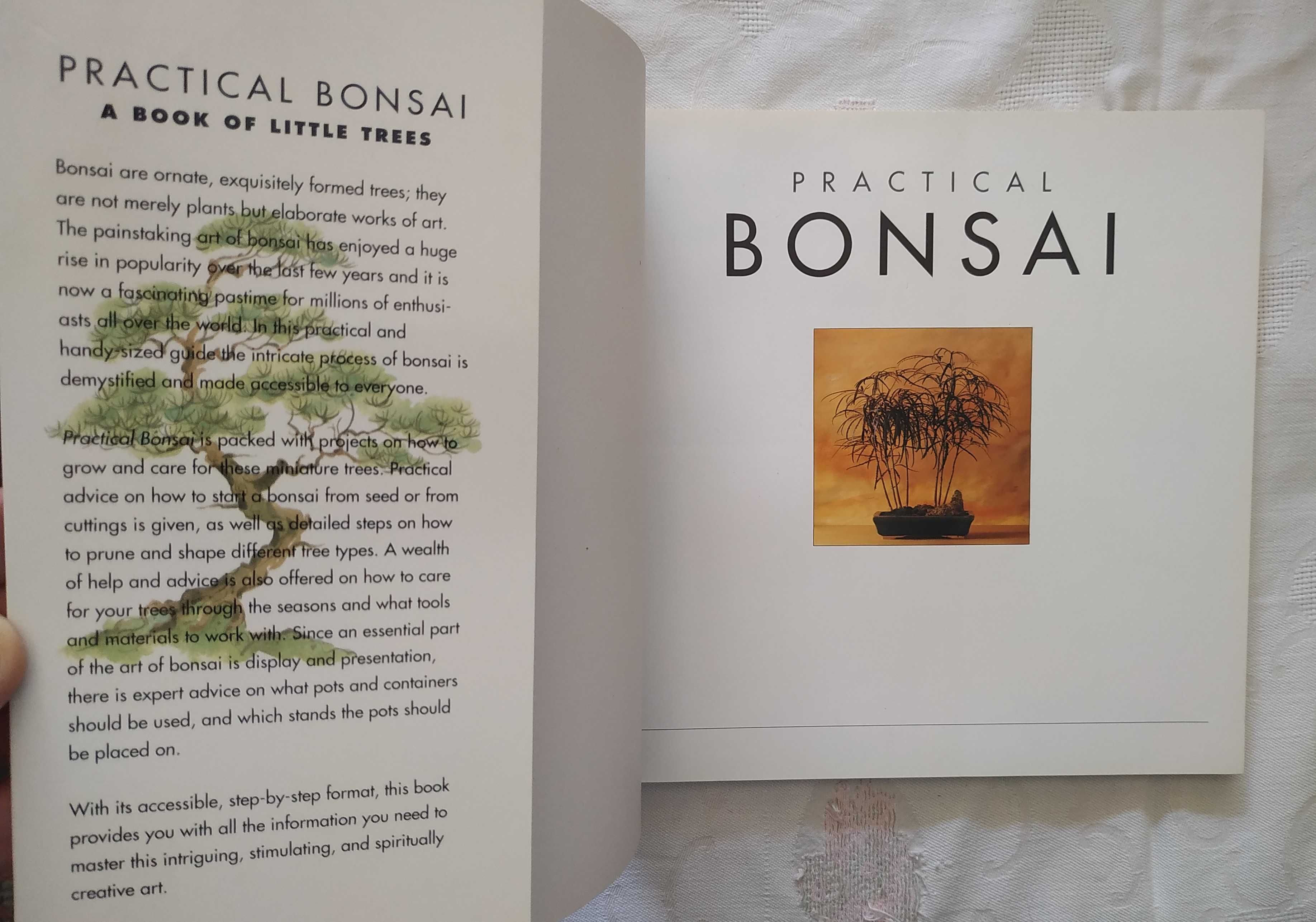 Livro Pratical Bonsai: A book of little trees por Ken Norman