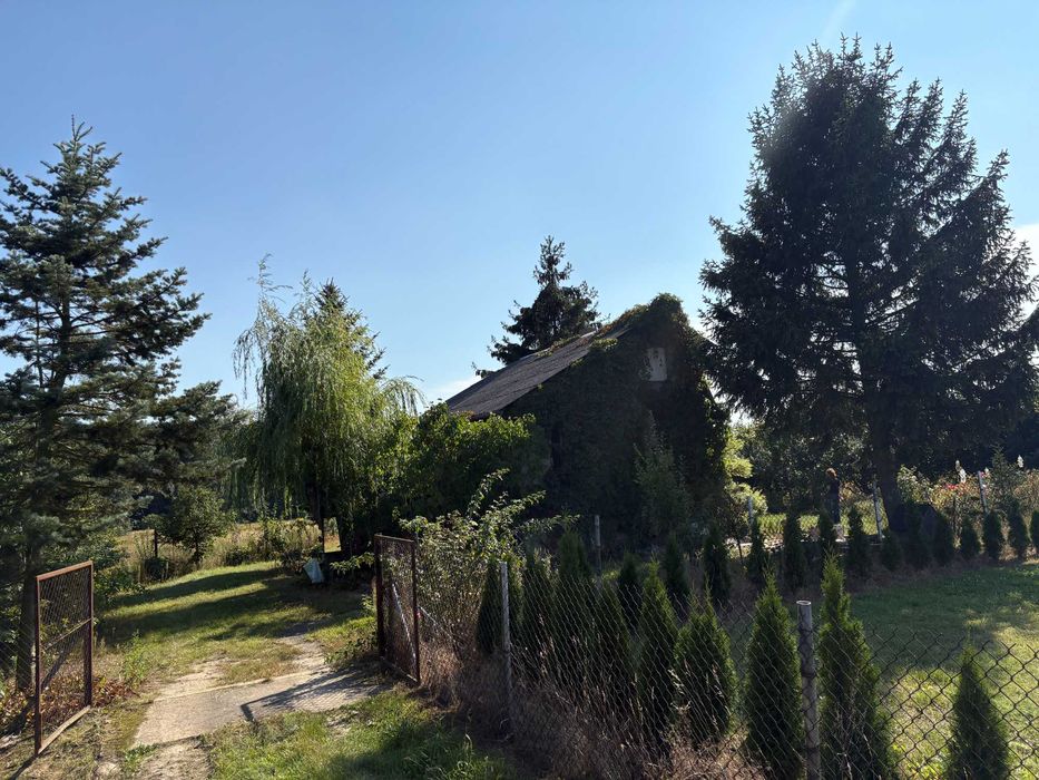 Biała Rawska - Działka z budynkiem - okazja inwestycyjna 0,5h