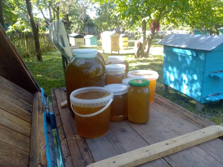 Продам мед (без сахару)