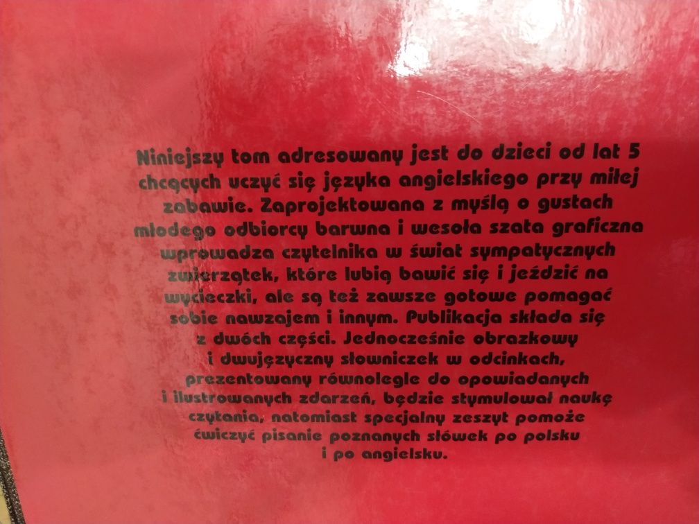 Słownik polsko angielski dla dzieci
