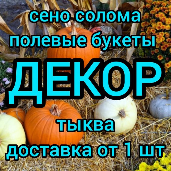 СІНО ДЛЯ ДЕКОРА в тюках, сено в тюках (проса и др) подстилка, корм