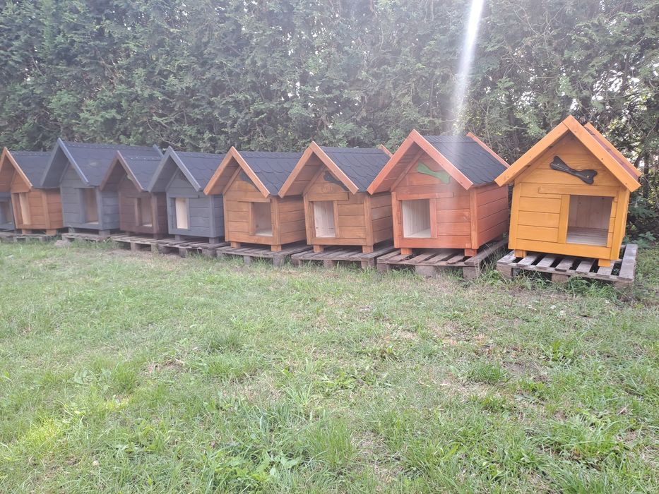 Budy dla Twojego pupila duży wybór. Zapraszamy