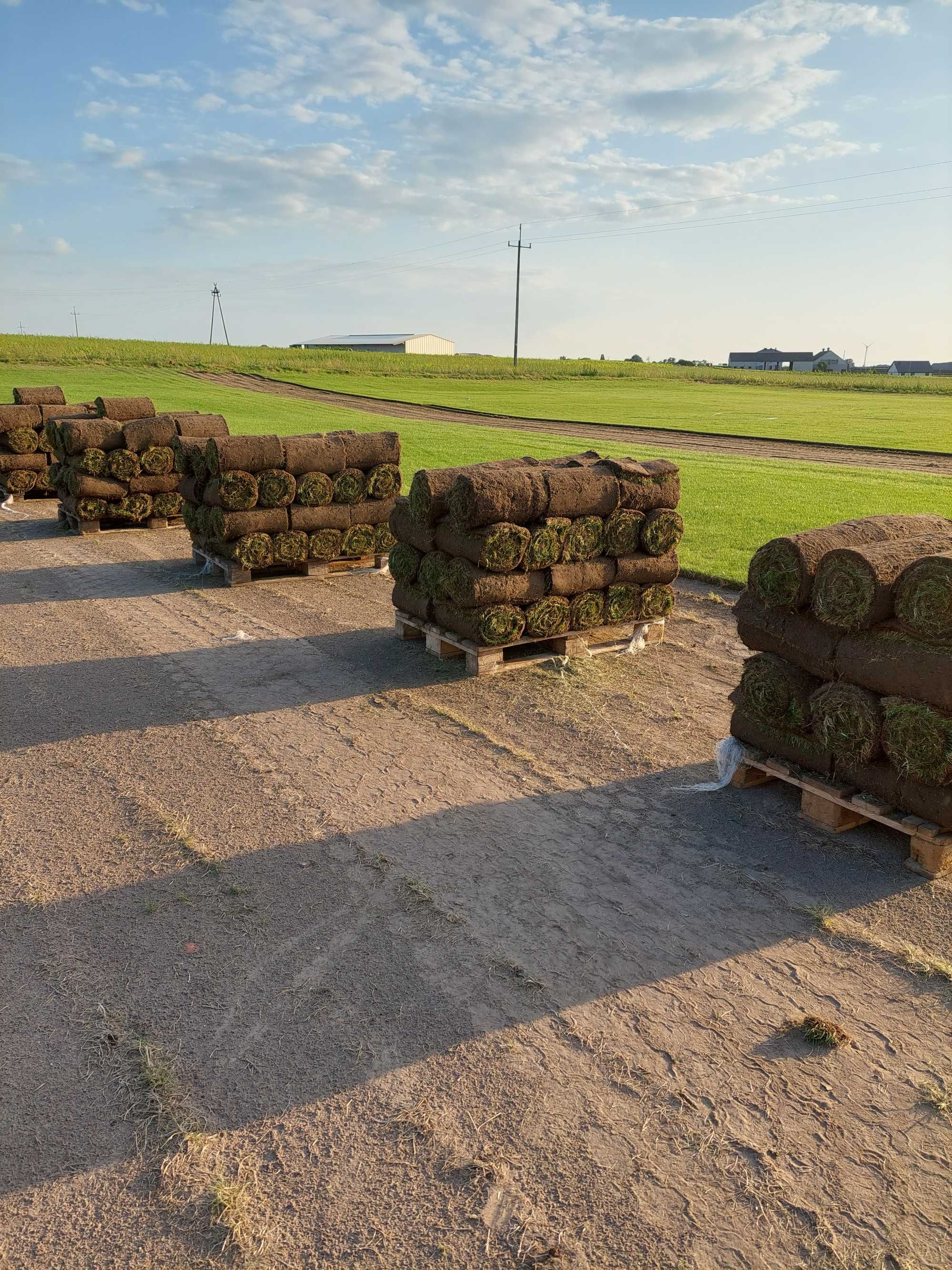 trawa z rolki ,  14zł/m2 ,transport winda, HDS