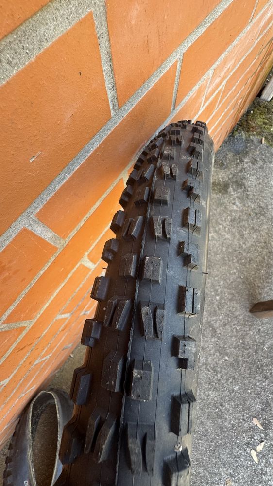 Pneu Minion DHF 29x2.60 3C Maxx Terra EXO TR