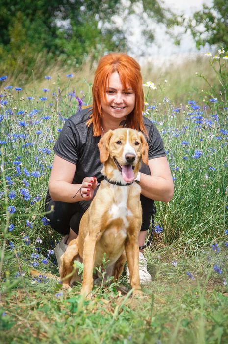 Pluto - piękny i wymagający psiak do pokochania.