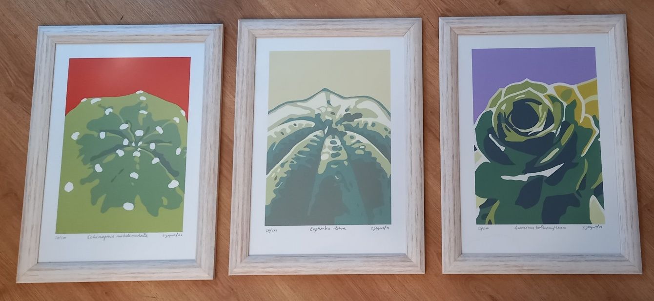 Conjunto de  quadros Serigrafias