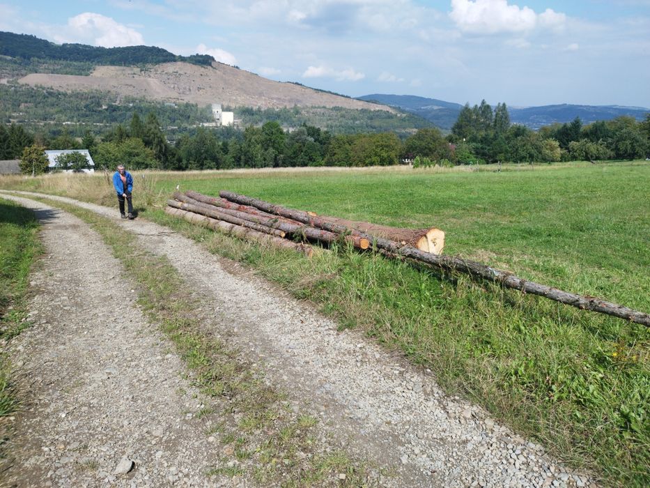 Drzewo do obróbki i na opał