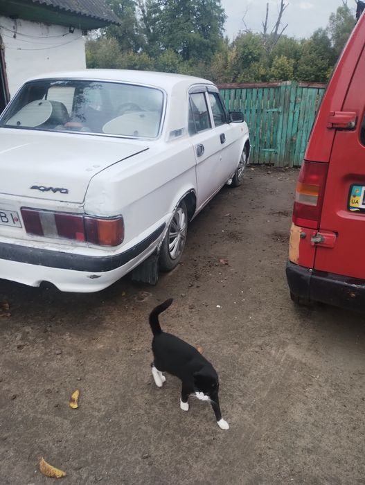 Продам Газ 31029 волга