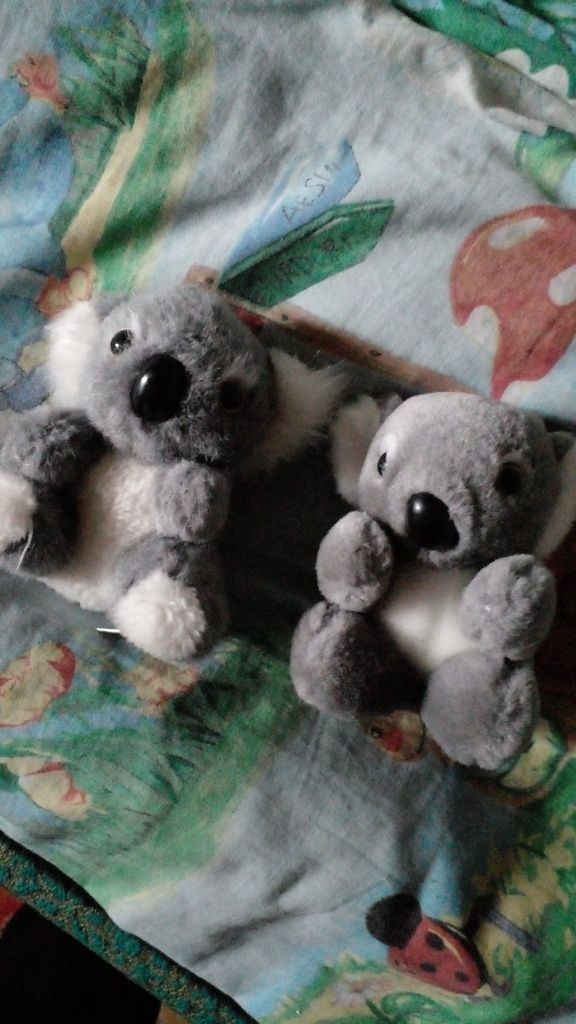 коала мягкая игрушка коалы семейство
