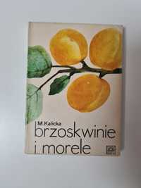 Brzoskwinie i morele - Maria Kalicka x