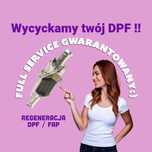 Profesjonalne czyszczenie i regeneracja filtrów DPF / FAP !!!