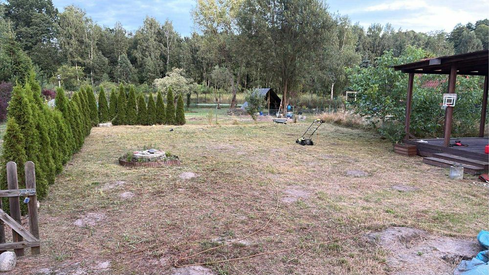 Sprzedam prawo do dzialki ROD Lasek Brzozowy