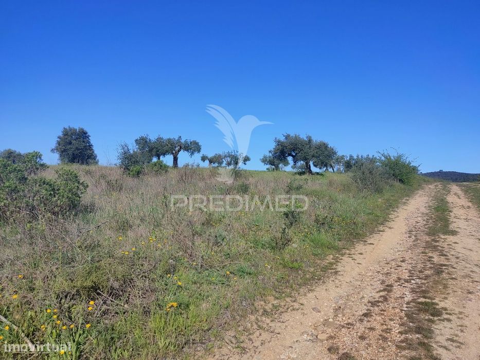 Terreno Rústico - Monsanto, Alcanena