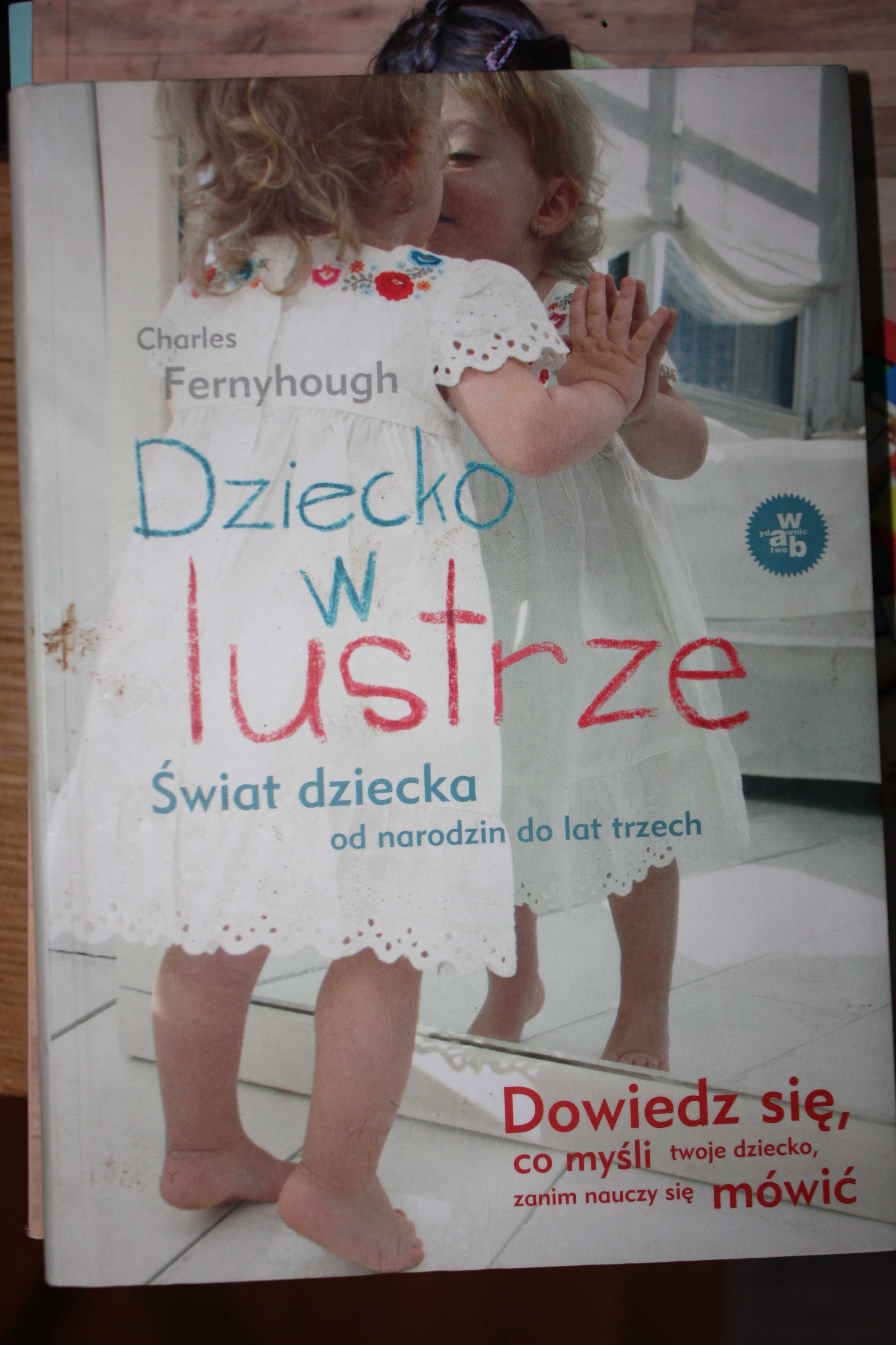 Dziecko w lustrze  - Charles Fernyhough