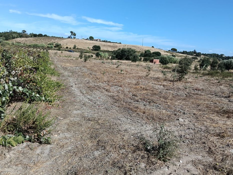 terreno rústico lapa Cartaxo 10.500€