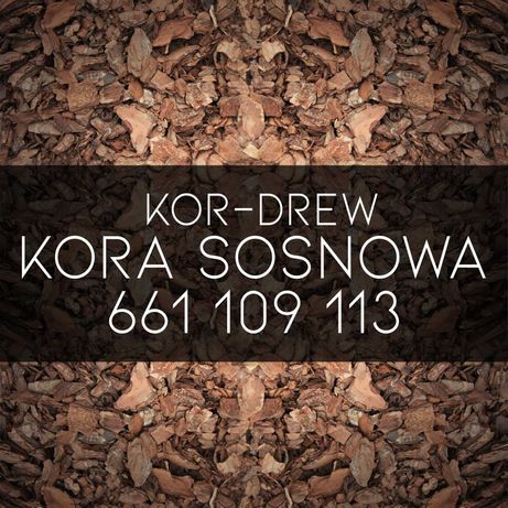 Kora Sosnowa Sortowana 80l Iława Ostróda + okolice Transport