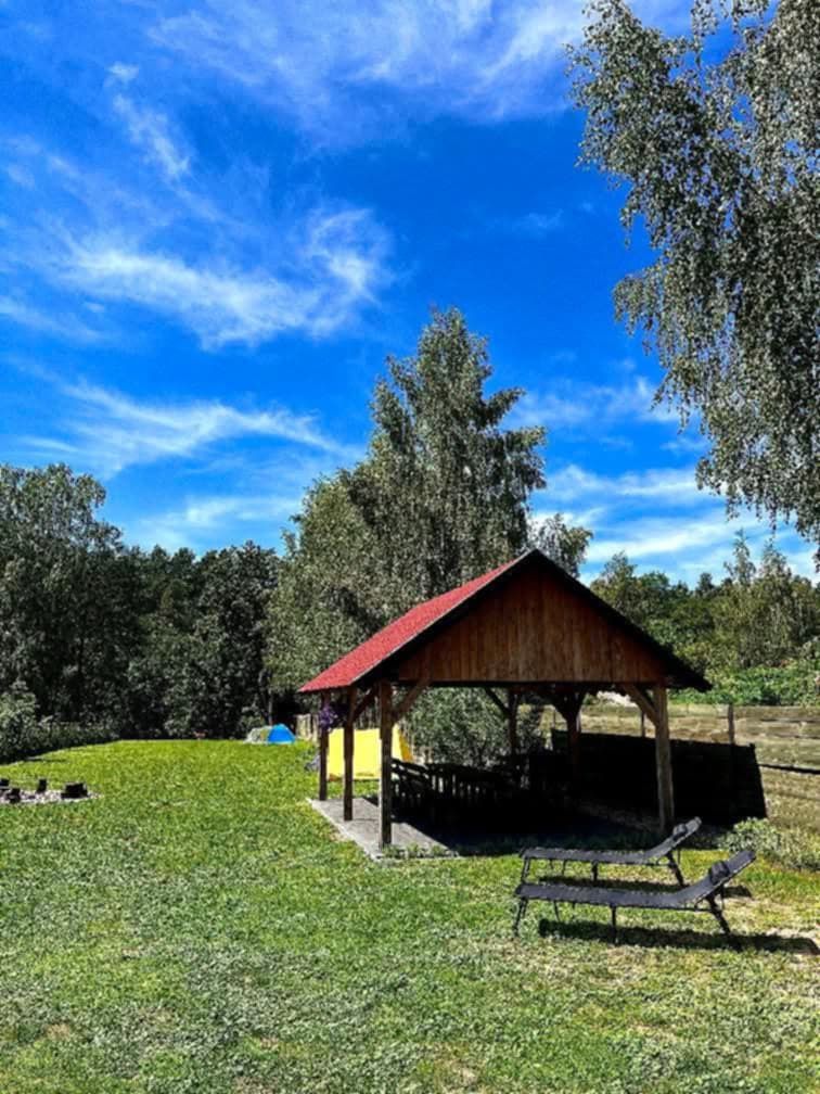 Pole namiotowe, kempingowe nad rzeką Krutynią, Mazury, Krutyń, Ruciane