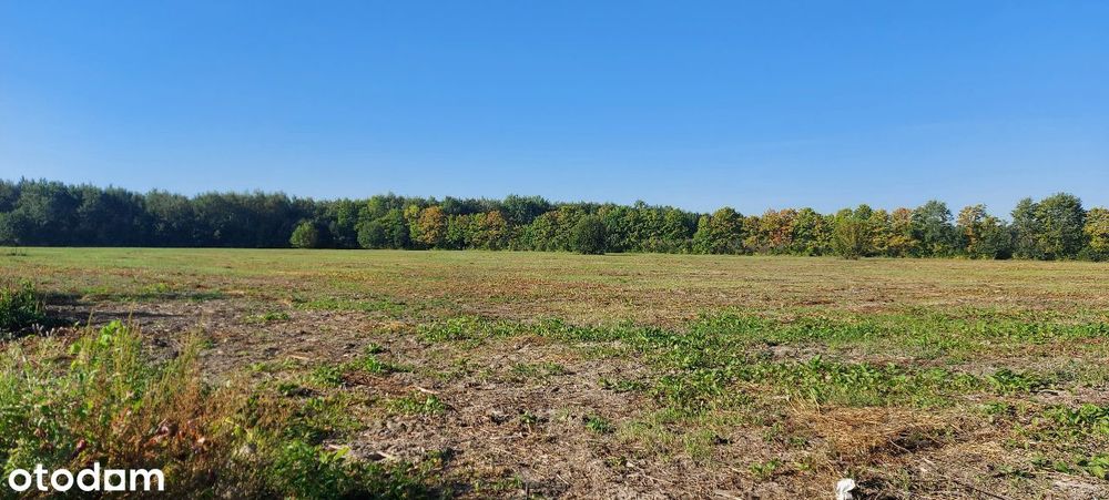Działka budowlana, Mogielnica, okolice Grójca