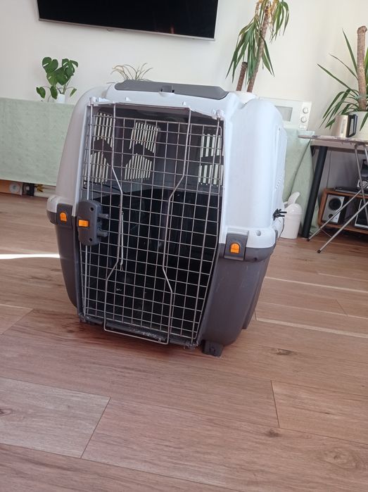 Transporter dla dużych psiaków