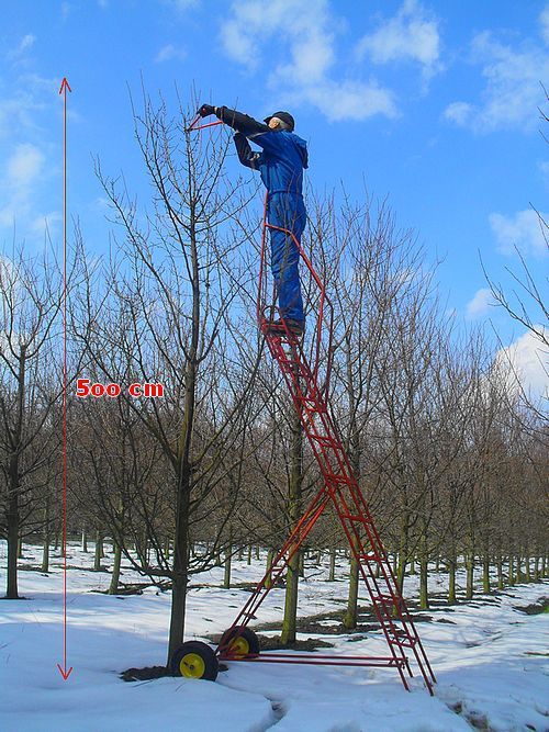 Drabina sadownicza na kołach sanki sadownicze