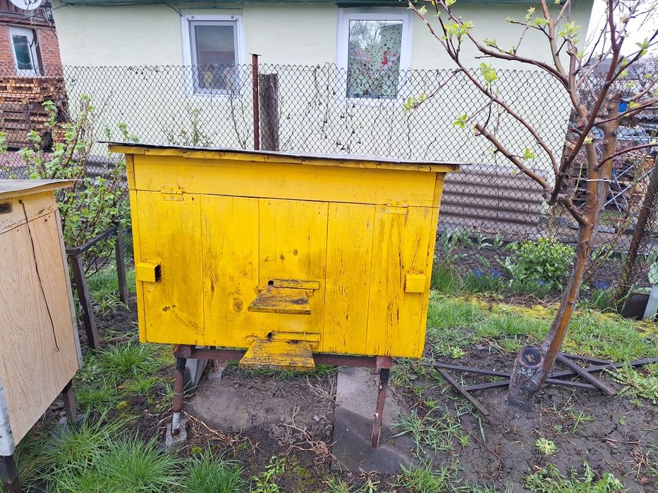 Продам пасіку!!!